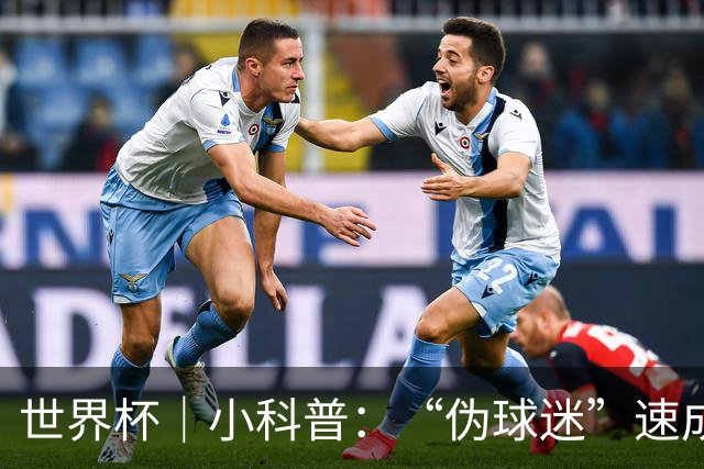 世界杯｜小科普：“伪球迷”速成手册