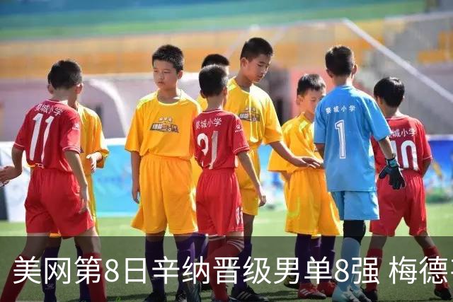 美网第8日辛纳晋级男单8强 梅德韦杰夫送蛋晋级